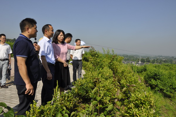 _DSC0023_调整大小.JPG