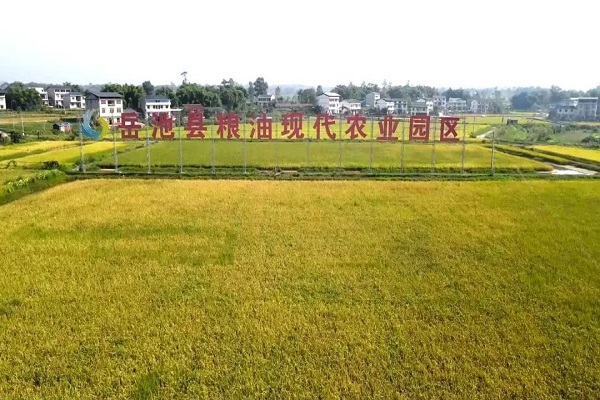 微信图片_20240913091457.jpg