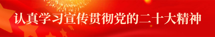 二十大精神