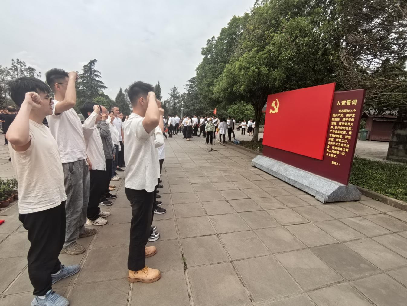 图片1 图片1
